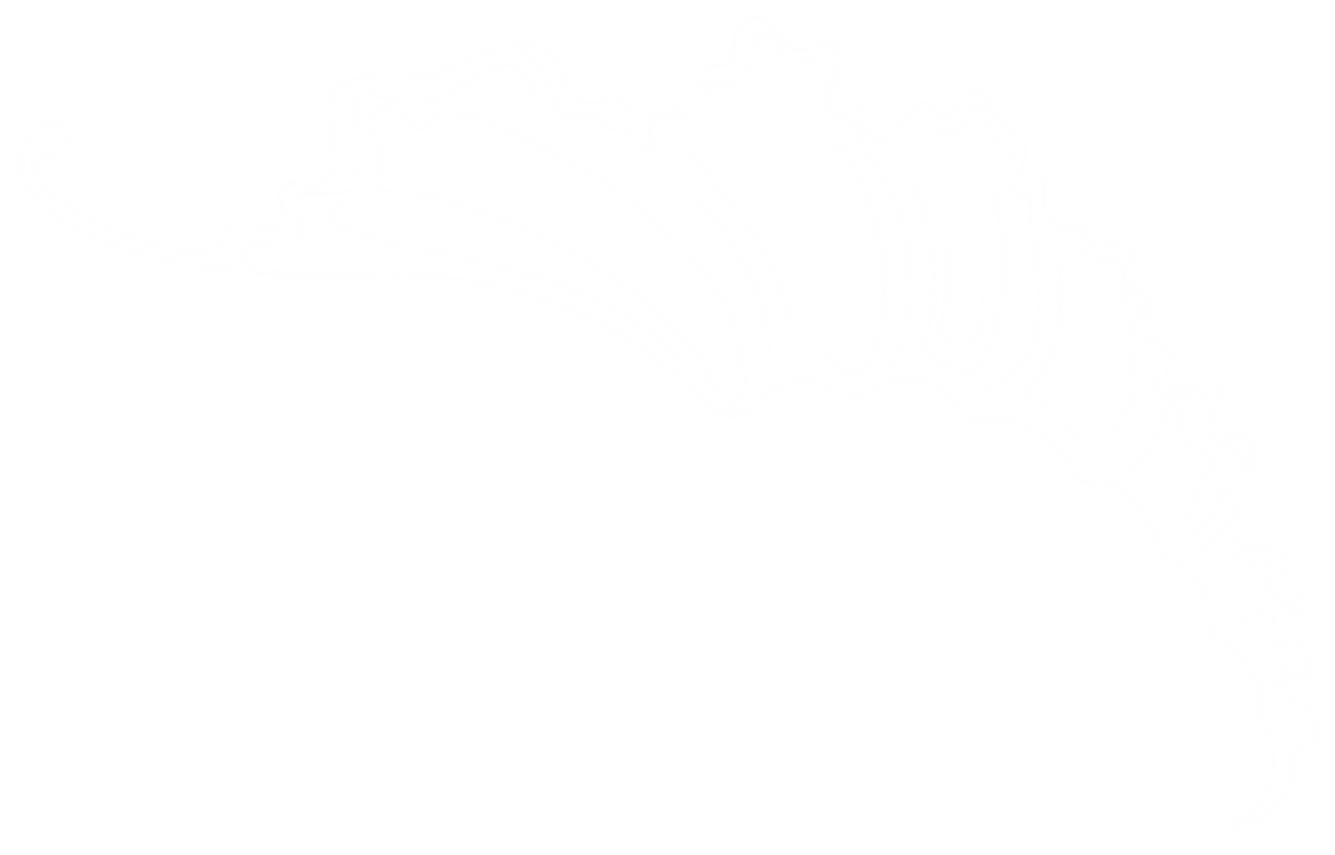 Shell Study